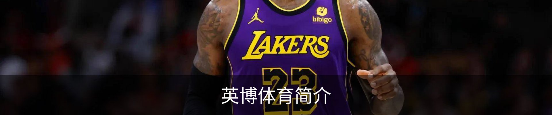 英博体育简介